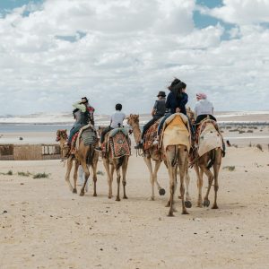 Group enjoying a camel ride in Faiyum Oasis, Egypt under a cloudy sky.