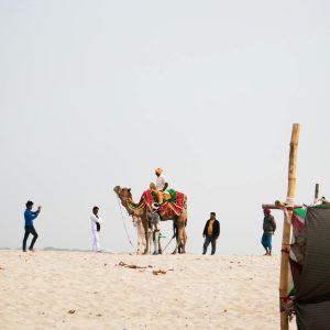 Group of people enjoying a colorful camel ride in a sandy desert, capturing memorable moments.